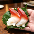 Arctic Surf Clam