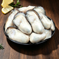 Fresh Oyster